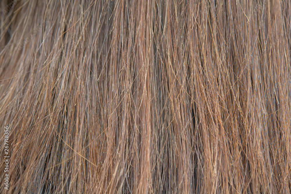 Dry and damaged hair Dry and damaged hair