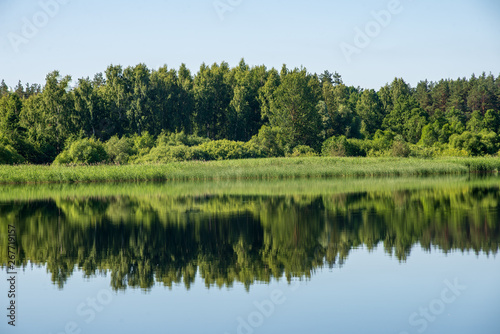 reflections of shore trees in the calm water of a lake