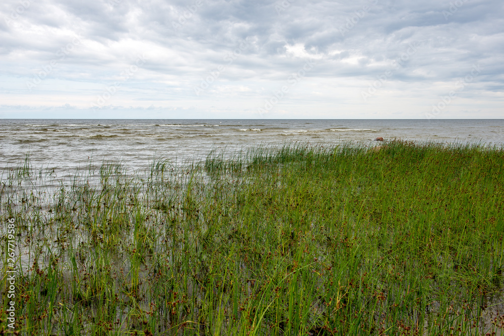 empty sea beach with rocks and grass