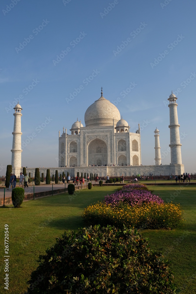 Obraz premium merveilleux taj mahal
