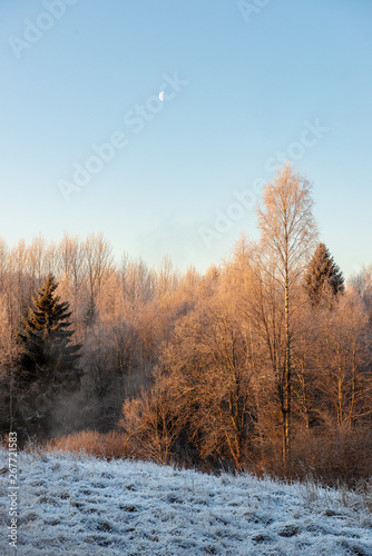 fields and forests covered in snow in winter frost © Martins Vanags