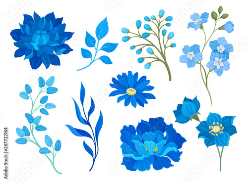 Collection of drawings of blue flowers and leaves. Vector illustration on white background.