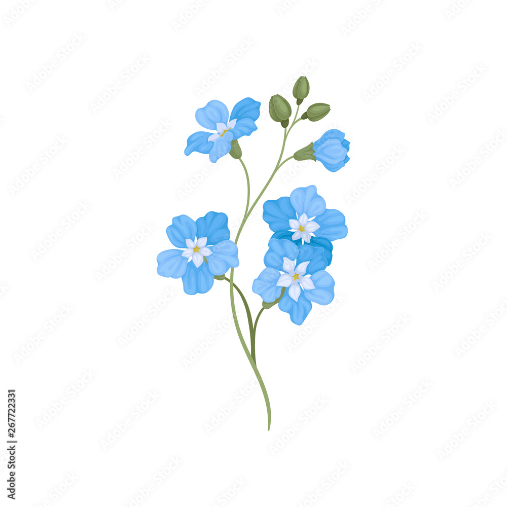 Five small blue flowers on a branch. Vector illustration on white background.