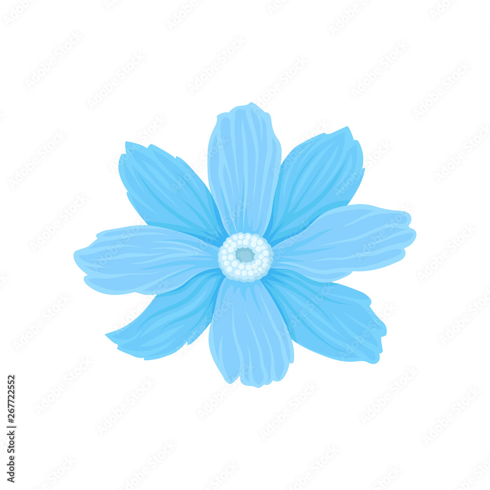 Light blue flower. Vector illustration on white background.