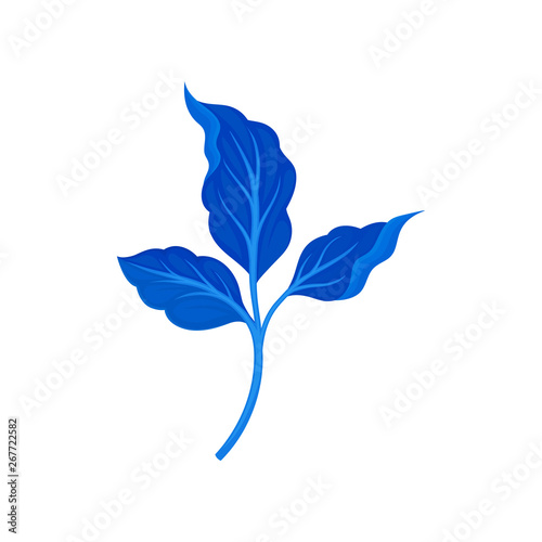 Three blue leaf on a branch. Vector illustration on white background.