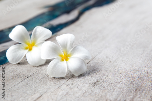 Plumeria flowers on wooden textured background with blue glass. Place for text.