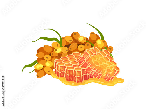 Sea buckthorn and two pieces of honeycombs. Vector illustration on white background.