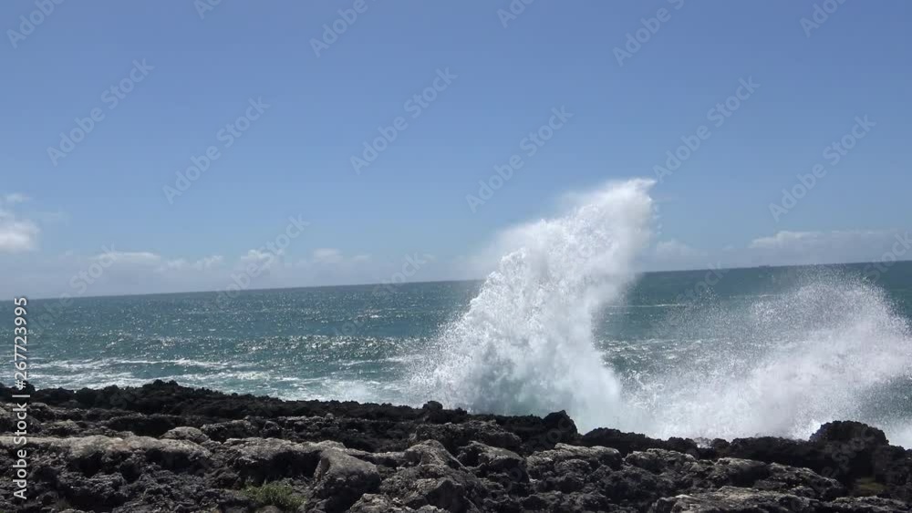 Waves Crashing on the Shore Waves Crashing on the Shore