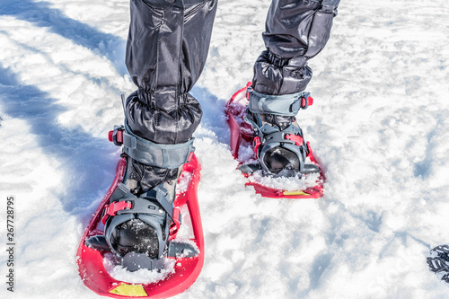 foot with boots in snowshoes