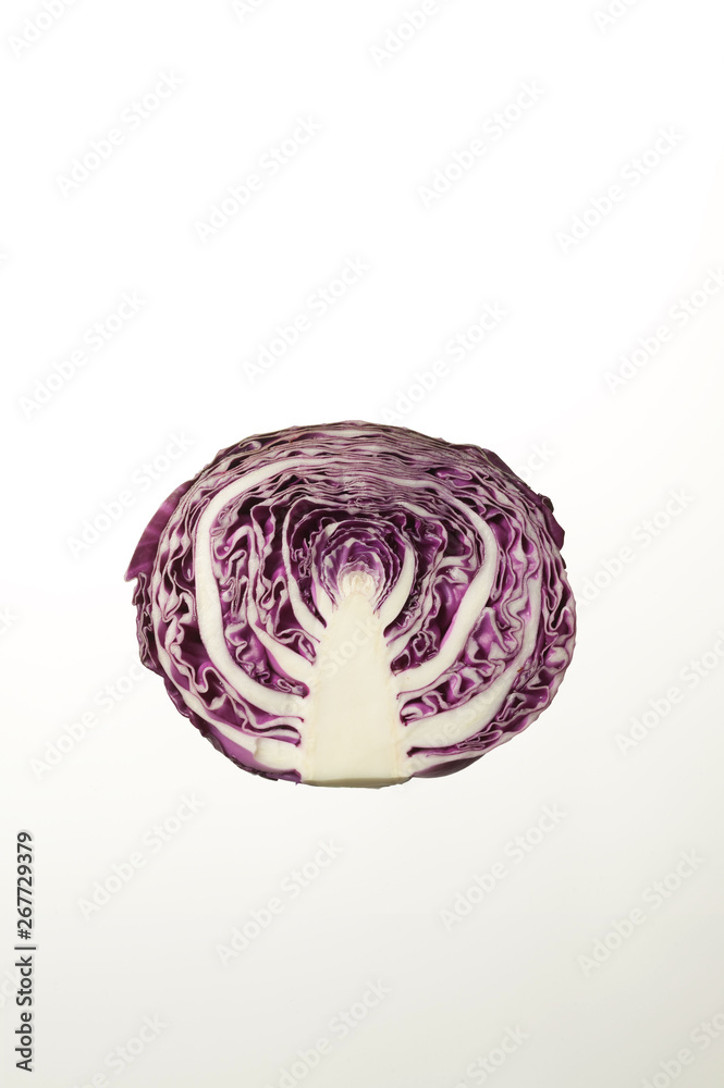 赤キャベツ 赤キャベツ