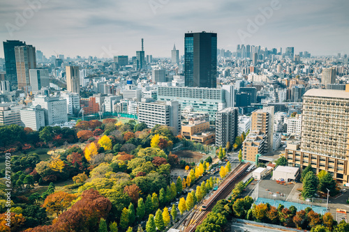 Koishikawa Korakuen Garden and modern buildings at autumn in Tokyo, Japan photo