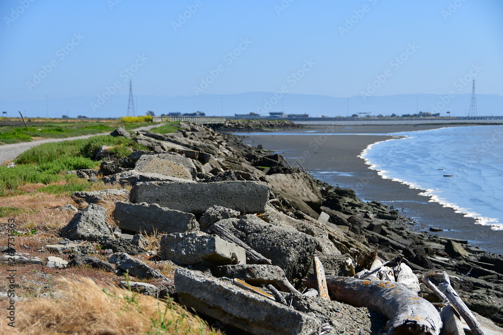 Hayward Shoreline