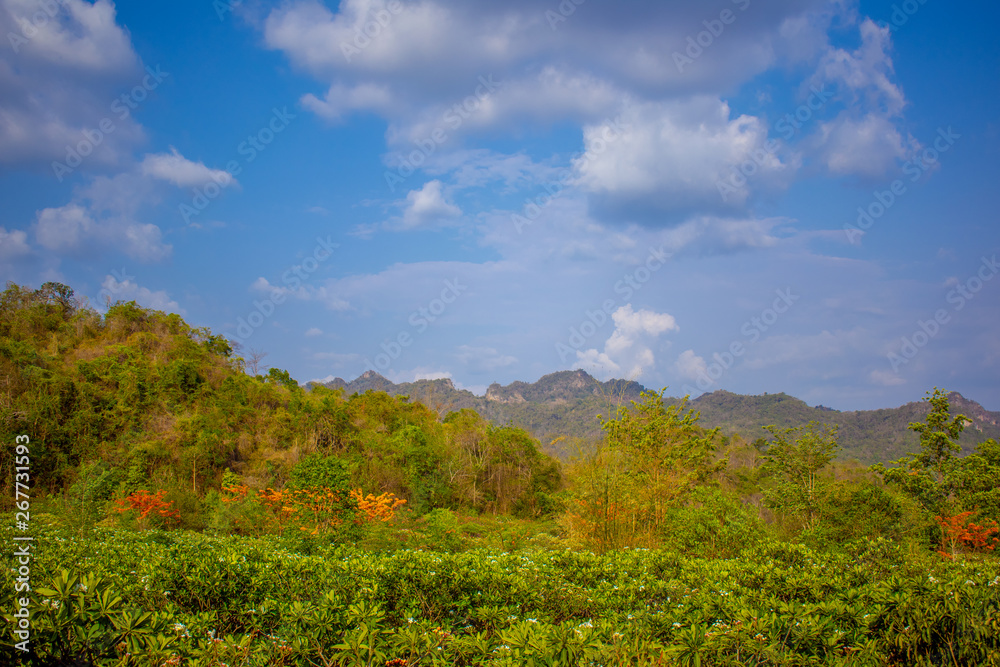 Mountain, covered with green trees, under a blue sky with clouds are beautiful nature.