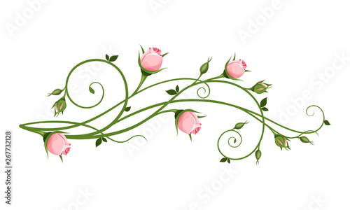 Vector decorative design element with pink rosebuds isolated on a white background.