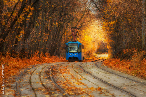 Tram rails in autumn season with red and blue trams