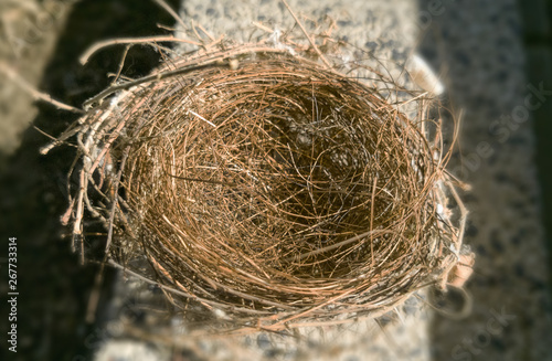The bird's nest that has been left without body