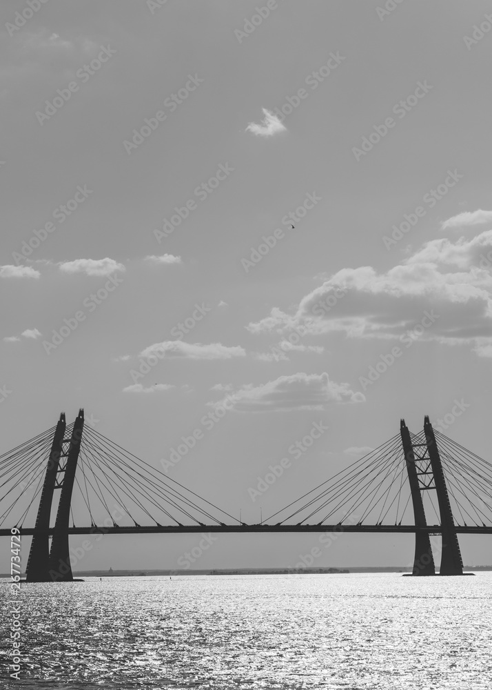 Fototapeta premium Black and white photography of modern car bridge over water.