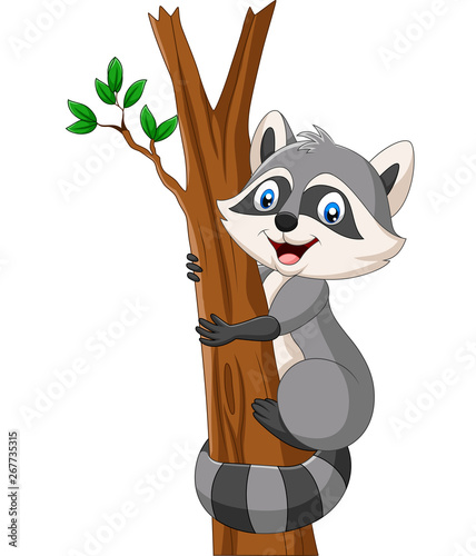 Cartoon Raccoon climbing on the tree