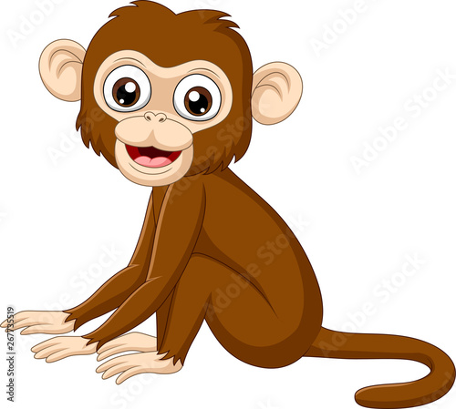 Cute baby monkey sitting on white background