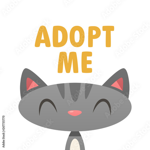 Adopt me cat vector isolated illustration