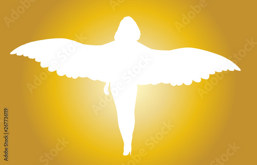 Bright White Femle Angel Silhouette