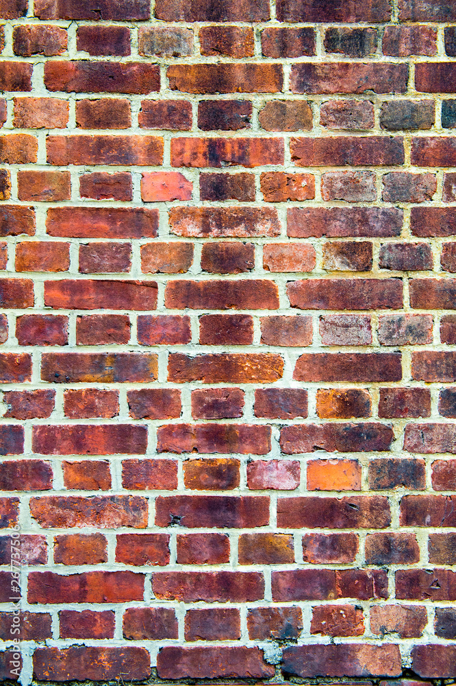 Fototapeta premium レンガ壁