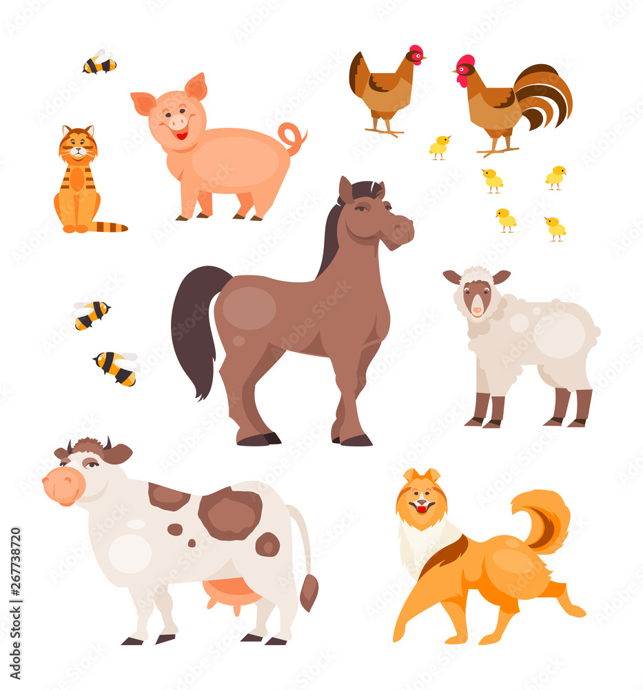 Fototapeta premium Cartoon Pets vector