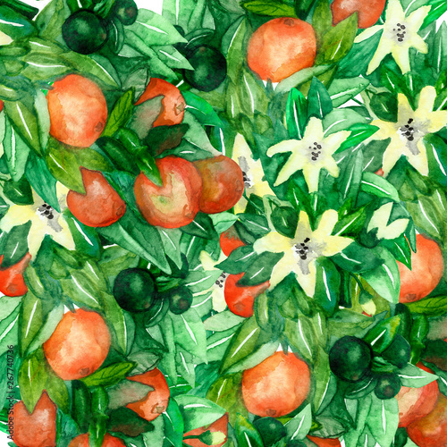 Watercolor hand painted fresh fruit illustration background with orange mandarins, green leaves, branches and white blooming flowers
