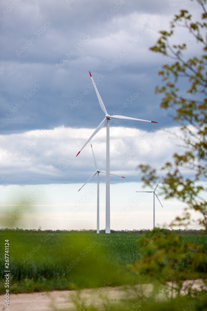 wind turbines in the field