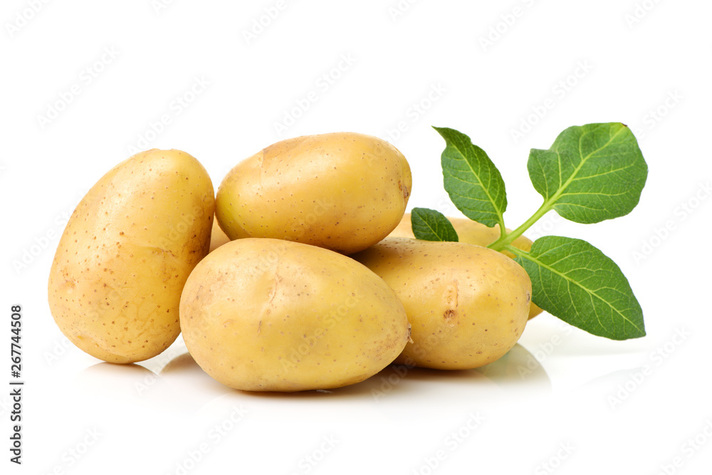 New potato isolated on white background New potato isolated on white background