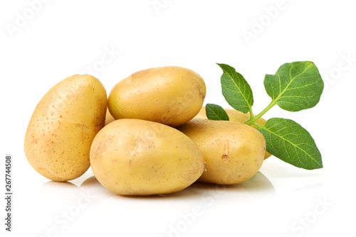 Fototapeta New potato isolated on white background