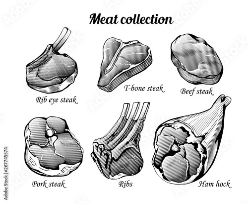 Engraving style collection of meat food ingredients. Line art vintage illustration of ham hock, ribs, pork and beef steaks. Vector