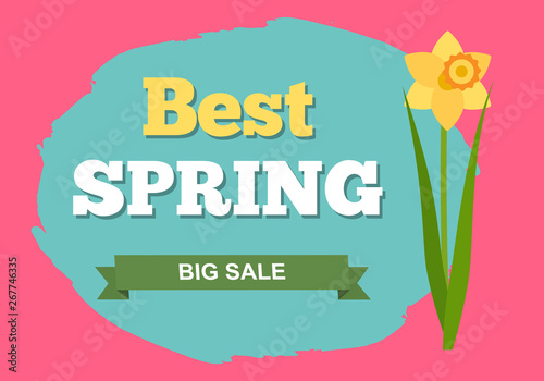 Sale, discount and best offer, label for springtime promotion and advertising, daisy bouquet. Advertisement decorated by flowers, greeting for ladies vector. Early spring and summer flower for wedding