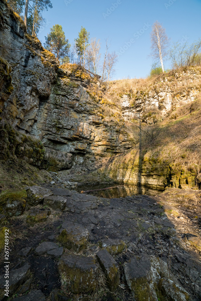 Obraz premium A summer green sunny forest with many rocks on the ground