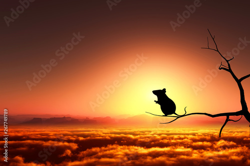 日の出とネズミのシルエット © bigfoot