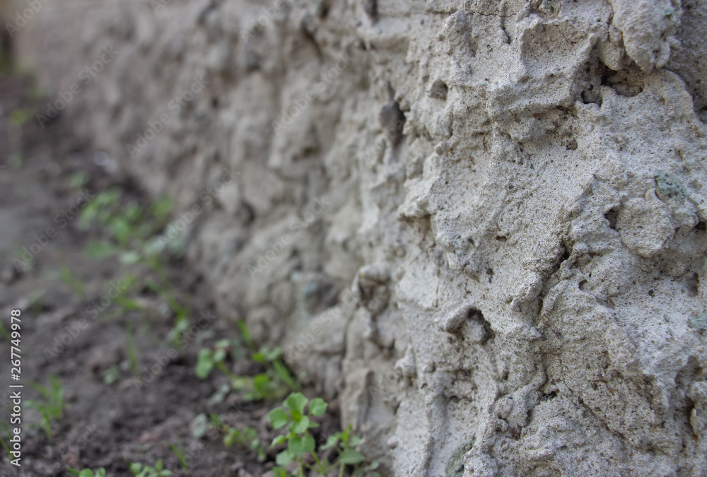 Backgrounds are different, such as: sackcloth, brick wall, paving tiles, sack, burlap