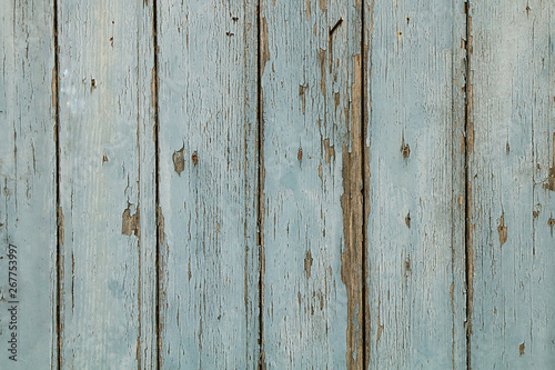 Wood texture. A fence of small boards with a large background. © blackguitar1