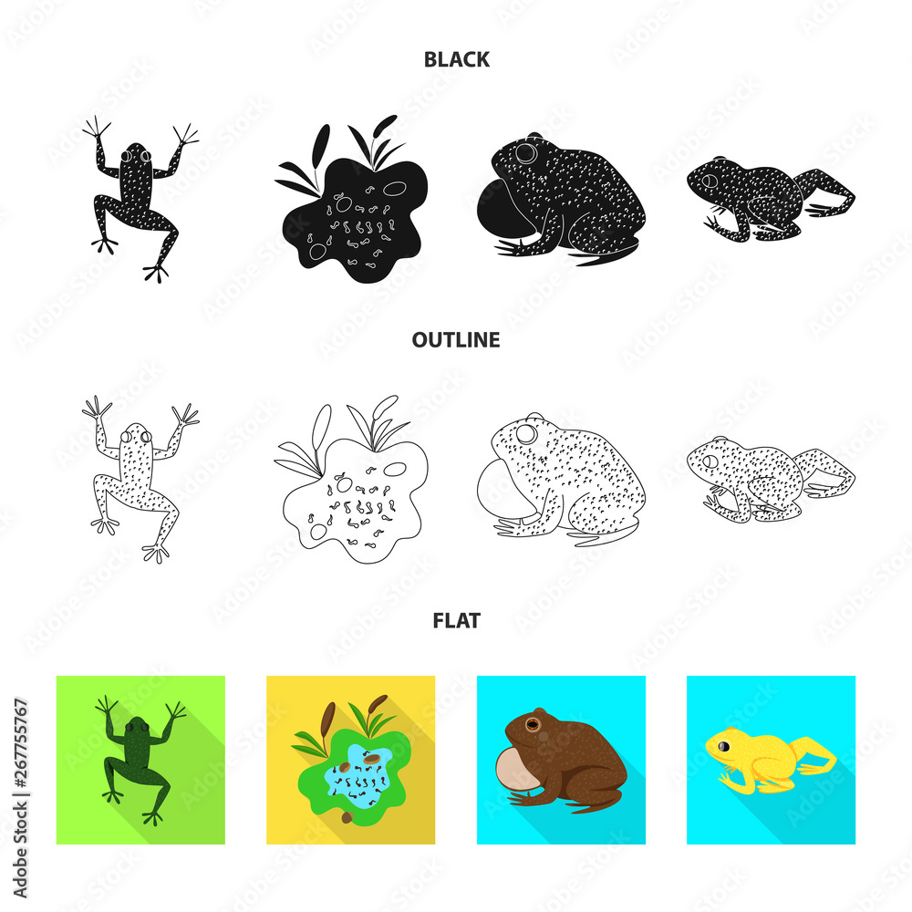 Isolated object of wildlife and bog icon. Set of wildlife and reptile stock symbol for web.