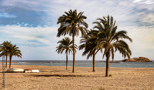 Beautiful beach scene with palm trees  calm ocean and distant island in the horizon.