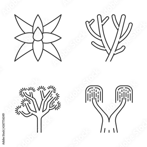 Desert plants linear icons set