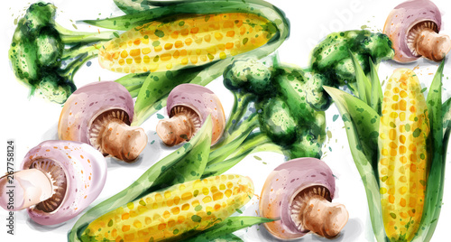 Vegetables watercolor Vector background. Mushrooms, corn and brocoli green ec...