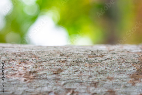 Blurry wood and blurry green background