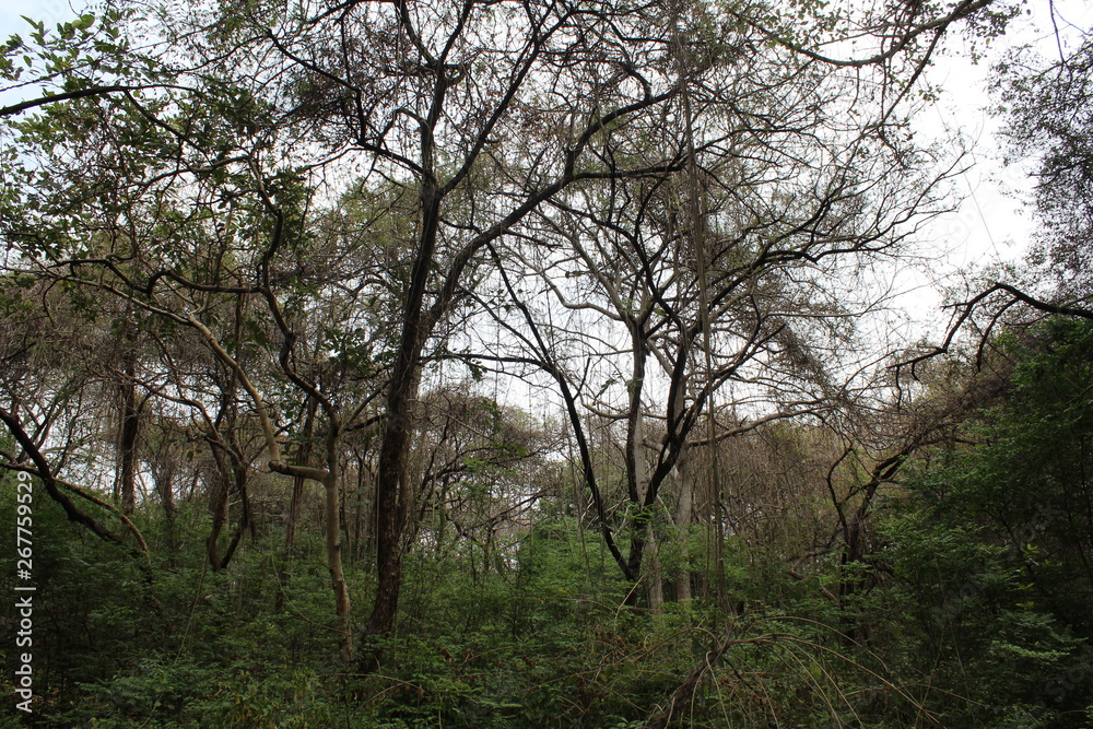 Landscape Landscape