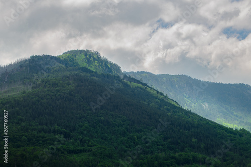 Beautiful Mountains of River Tara Canyon. Durmitor National Park in Montenegro  Balkans  Europe