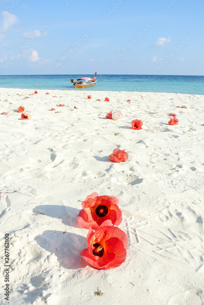 Blue sea, white sands and red Hibiscus flowers Blue sea, white sands and red Hibiscus flowers