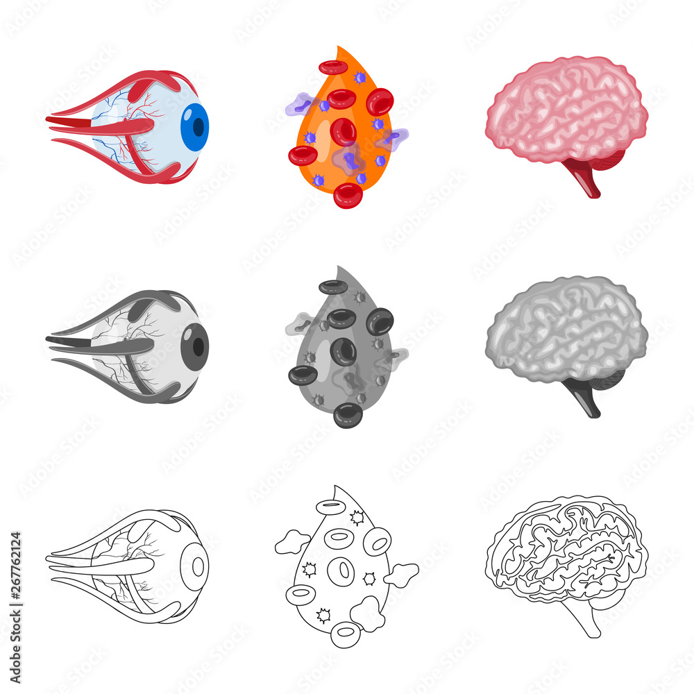 Vector illustration of biology and scientific icon. Set of biology and laboratory stock vector illustration.