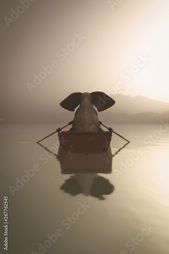 Misty lake boat elephant