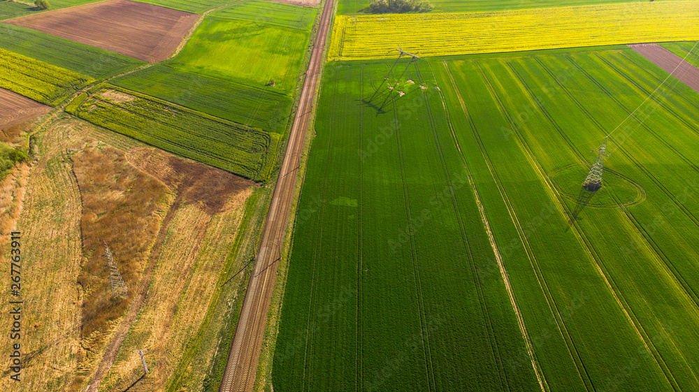 Obraz premium Aerial view of a land with sown green fields in countryside in spring day