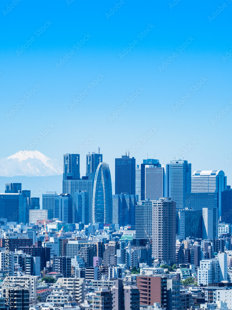 富士山と新宿副都心の高層ビル　縦位置