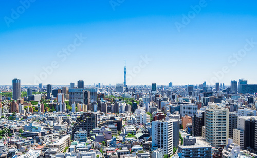 Obraz na płótnie 東京 青空と都市風景 w salonie